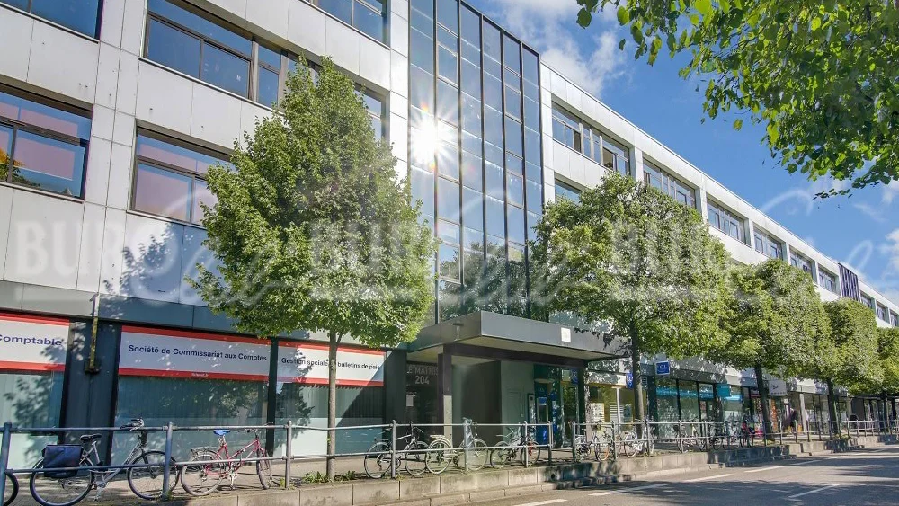 LE 204